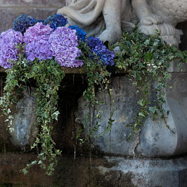 chateau destination wedding